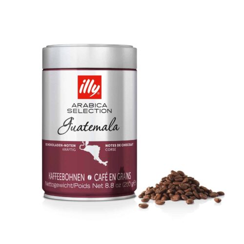Illy Guatemala Arabica Bohnen 250 g